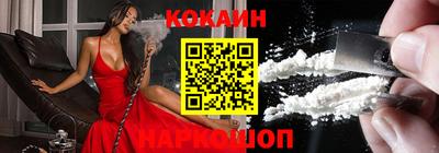 apvp Кингисепп