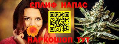 apvp Кингисепп