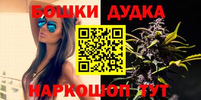 apvp Кингисепп