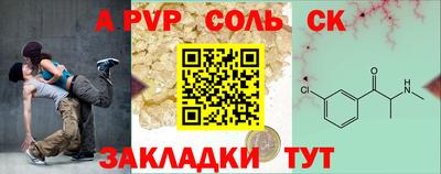 apvp Кингисепп