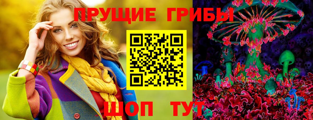 Галлюциногенные грибы GOLDEN TEACHER Коммунар