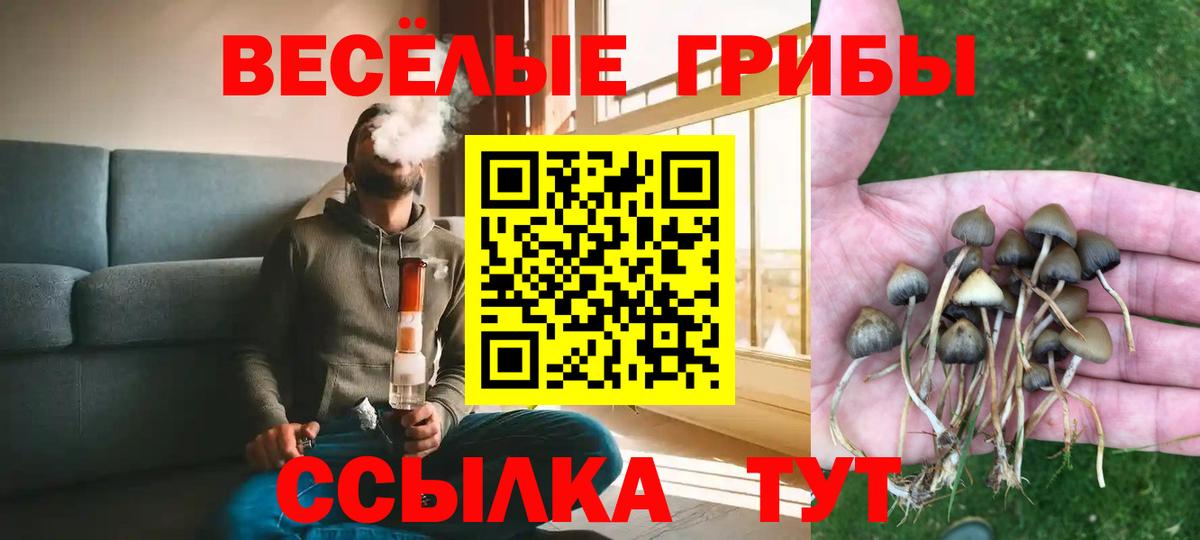 Псилоцибиновые грибы мухоморы  Вход с VPN  Псилоцибиновые грибы GOLDEN TEACHER  Коммунар 